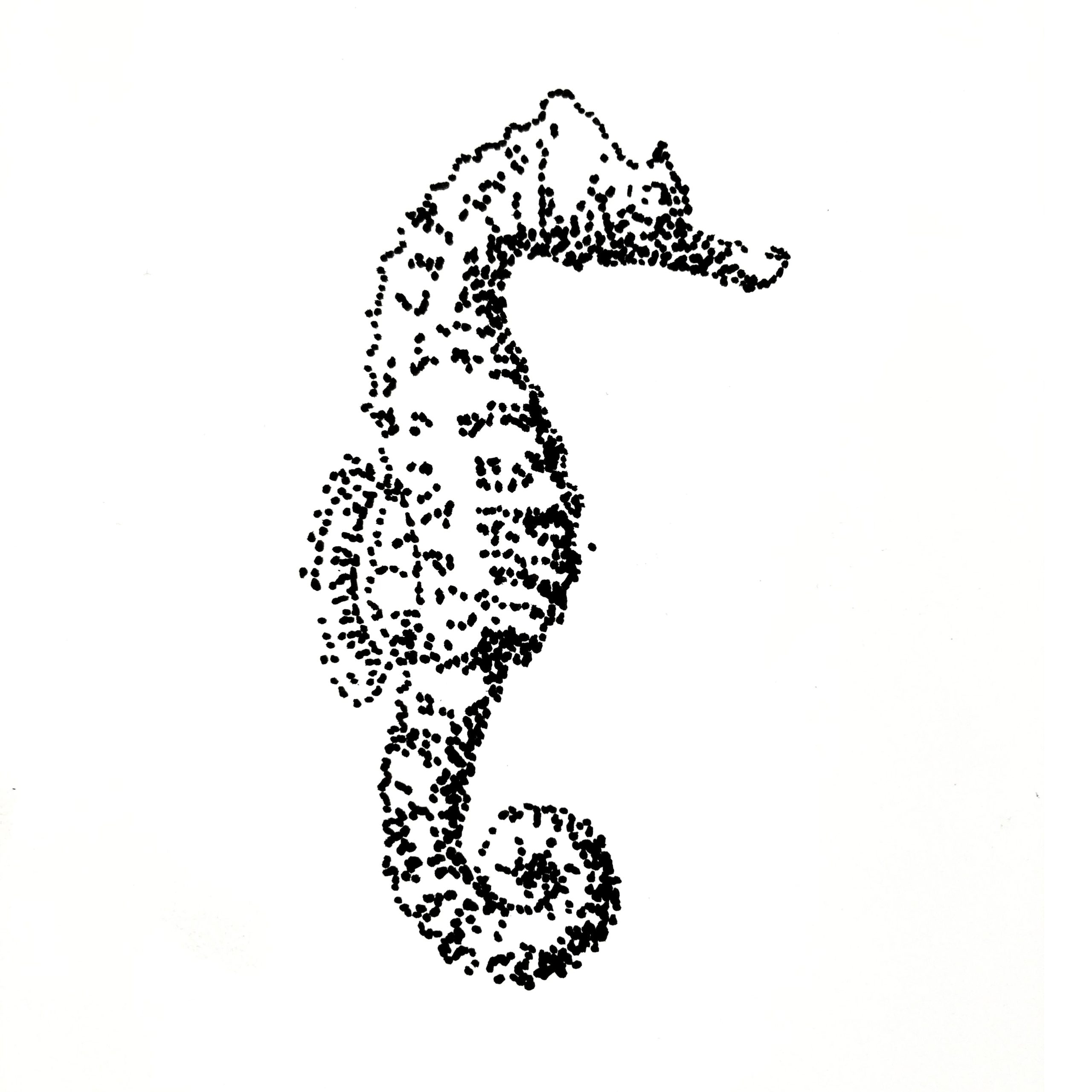 hippocampe, illustration  réalisée à la main