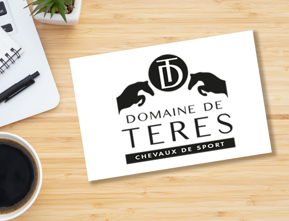 Logotype personnalisé réalisé pour le Haras "Domaine de Téres"